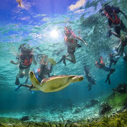 Puerto Morelos: Native-Park Coral Reef Snorkel | GetYourGuide