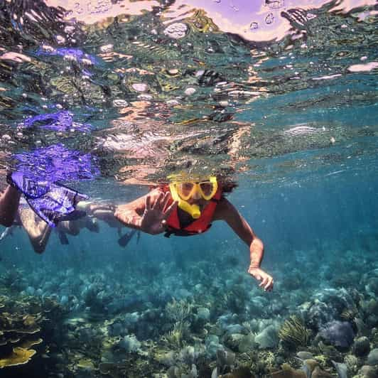 Puerto Morelos: Native-Park Coral Reef Snorkel | GetYourGuide