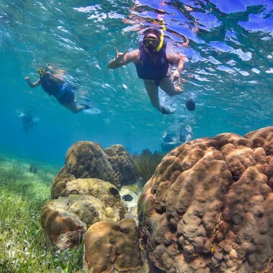 Puerto Morelos: Native-Park Coral Reef Snorkel | GetYourGuide