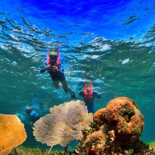 Puerto Morelos NativePark Coral Reef Snorkel GetYourGuide