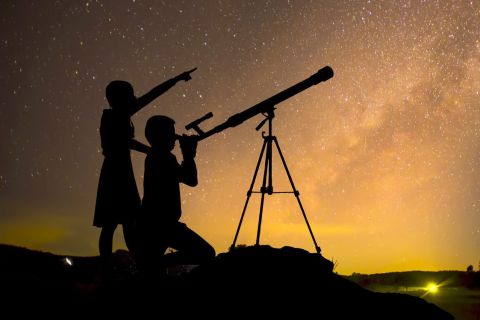 Marsa Alam: Desert Star-Watching with Camel & Dinner