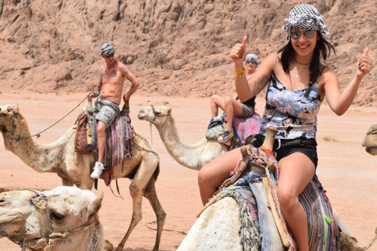 Marsa Alam : Observation des étoiles du désert avec chameau et dîner