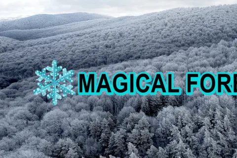 Escursione al Parco Nazionale di Tbilisi: La magica foresta di Sabaduri
