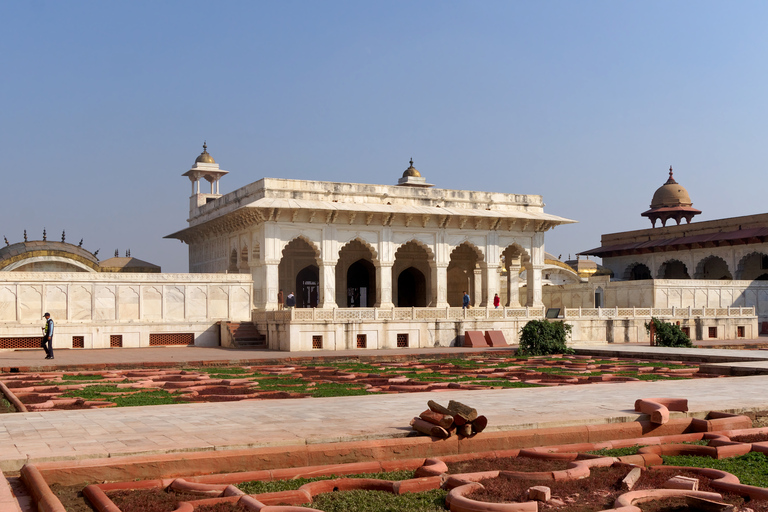 De Délhi: Viagem de um dia particular ao nascer do sol do Taj Mahal e ao Forte de AgraExcursão particular saindo de Délhi com carro, almoço, entrada e guia