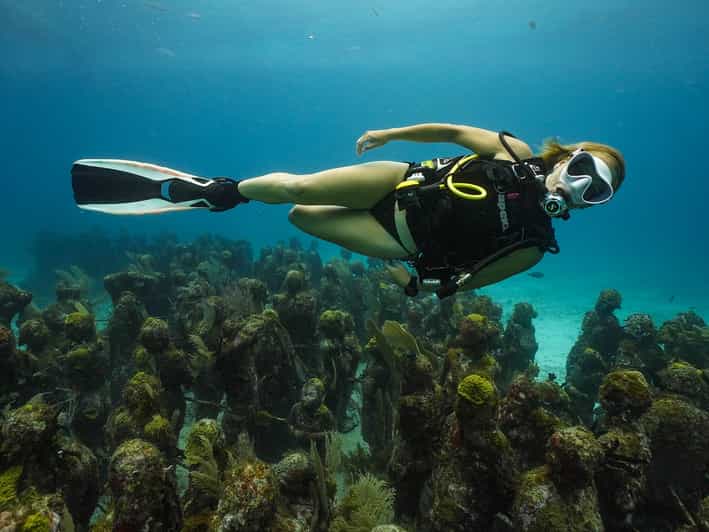 Gatuida Cordino per Immersioni subacquee - Cordino a Spirale