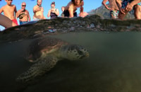From Marmaris, Dalyan, Turtle Beach & Köyceğiz Tour w/ Lunch - Housity