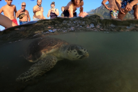 Marmaris : Visite de la plage des tortues avec lac et bains de boueVisite de la plage des tortues avec lac et bains de boue depuis Marmaris