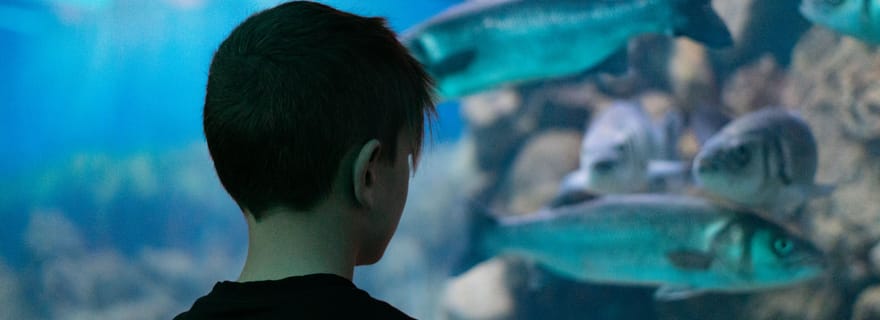 Corfou : billet d'entrée à l'aquarium avec visite guidée