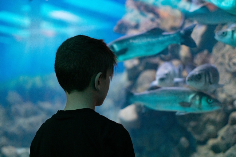 Corfou : Billet d'entrée à l'aquarium avec visite guidée