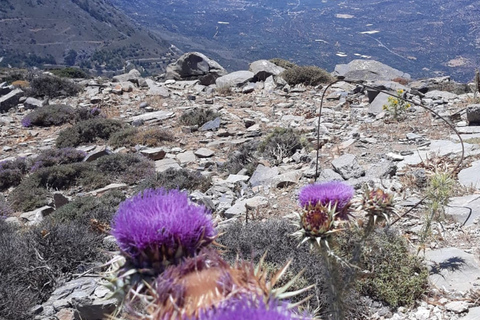 Jeeptour: Enjoy the beauty of eastern Crete in half a day.