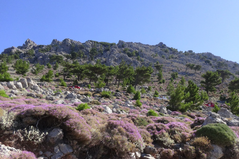 Ierapetra: tour di guida in jeep nella natura orientale di CretaJeeptour: goditi la bellezza della Creta orientale in mezza giornata.