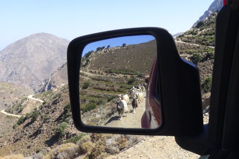 Jeeptour : Profitez de la beauté de la Crète orientale en une demi-journée.