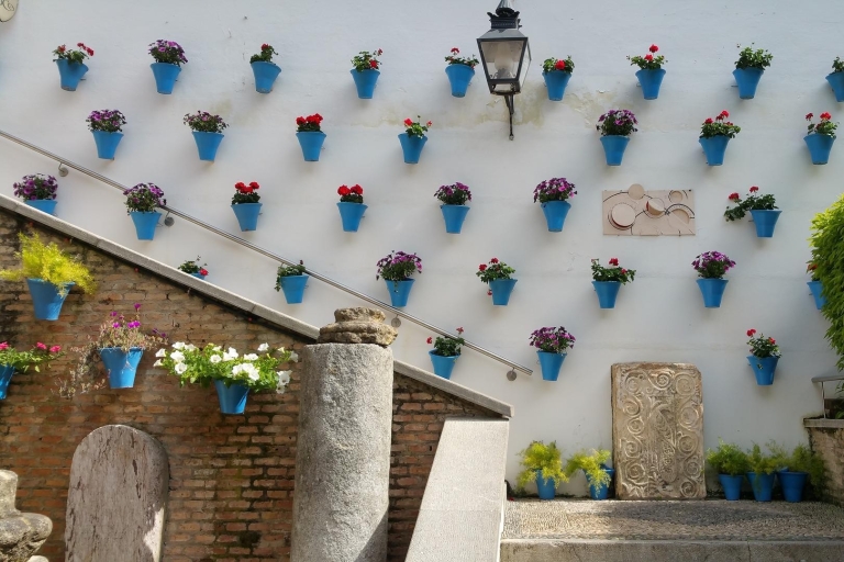 Depuis Malaga : Visitez Cordoue et Lucena en 1 jourDepuis le centre de Fuengirola