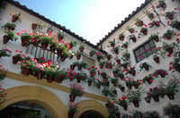 Von Málaga, Cordoba und Lucena Tagesausflug - Hizvo