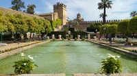 Von Málaga, Cordoba und Lucena Tagesausflug - Hizvo