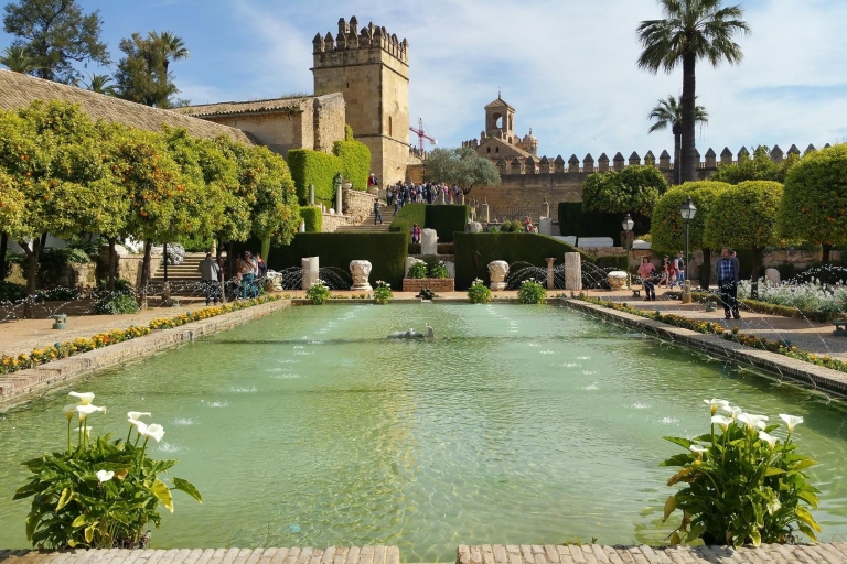 Vanuit Málaga: bezoek Cordoba en Lucena in 1 dagVanuit het centrum van Málaga