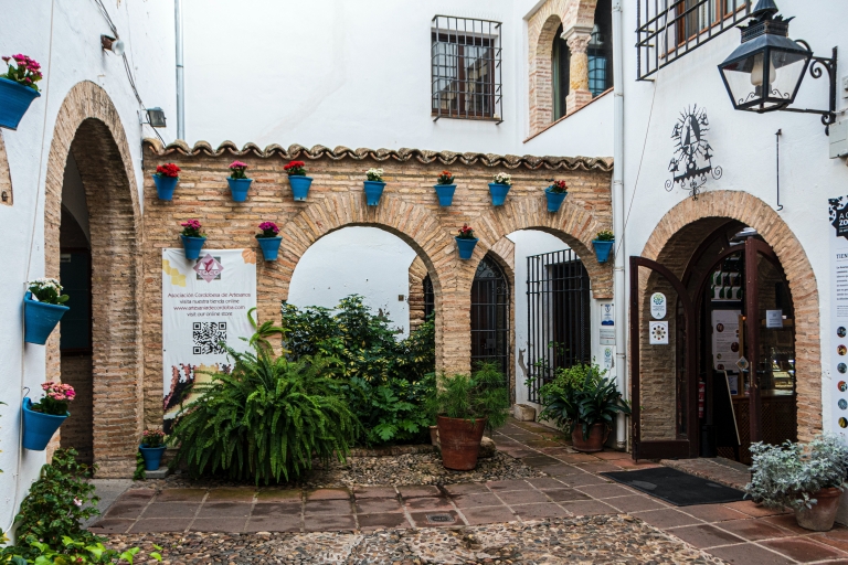 Depuis Malaga : Visitez Cordoue et Lucena en 1 jourDepuis le centre de Málaga