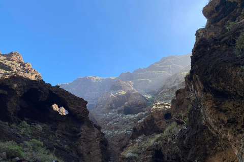 Depuis Los Gigantes : Randonnée dans le canyon de Masca avec retour en bateau-taxi