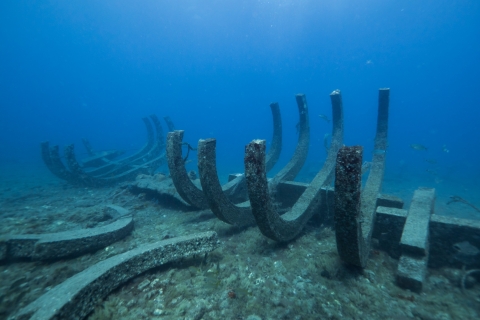 Mogán : tour de 40 min en sous-marinVisite sous-marine de 40 minutes à Mogán