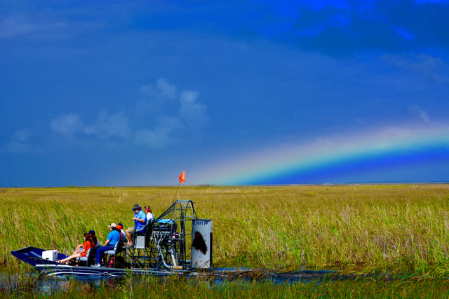 Miami: Pequeña excursión en hidrodeslizador por la vida salvaje del Río de Hierba de los Everglades