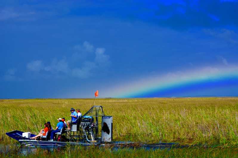 Miami: Everglades River of Grass Small Airboat Wildlife Tour