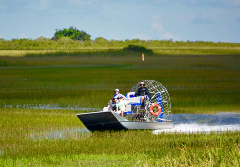 Miami Everglades River Of Grass Small Airboat Wildlife Tour GetYourGuide
