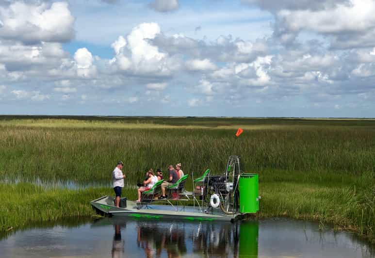 Miami Everglades River Of Grass Small Airboat Wildlife Tour GetYourGuide