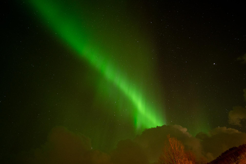 Tromsö: Norrskenstur med lokal guide och foton