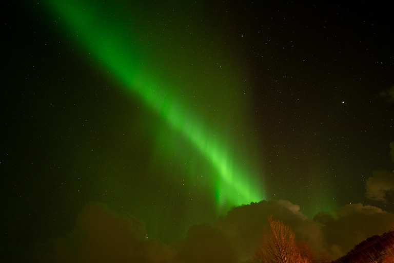 Tromsø: Tour dell&#039;aurora boreale con guida locale e foto