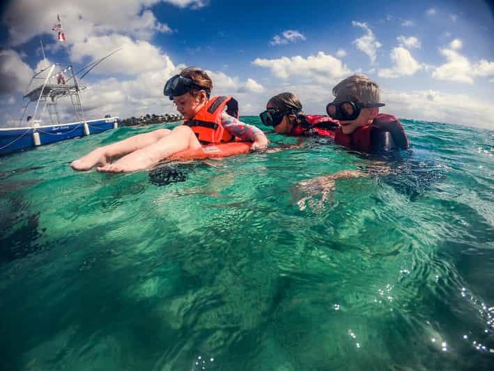 Akumal Sea Turtle Snorkeling Tour from Playa del Carmen GetYourGuide