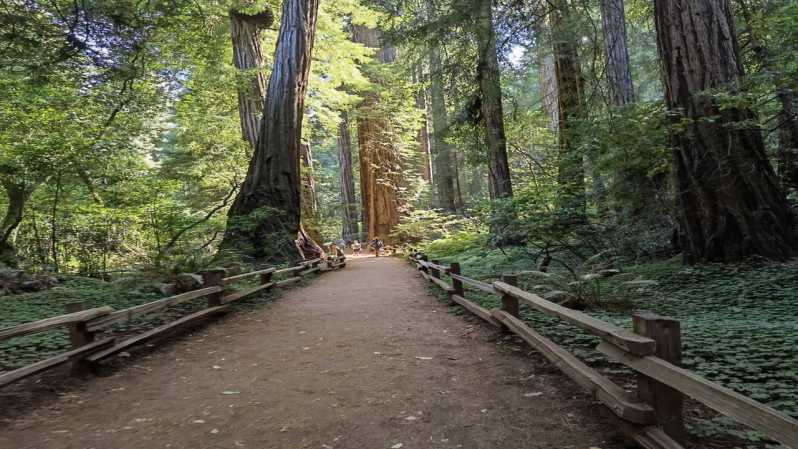 San Francisco: Ganztägige Stadtrundfahrt mit Muir Woods & Sausalito