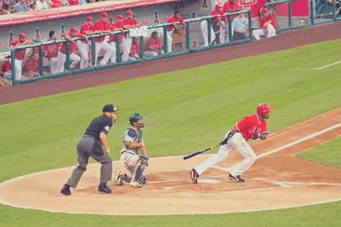 Los Angeles: LA Angels Baseball Game Ticket at Angel Stadium Regular Seating