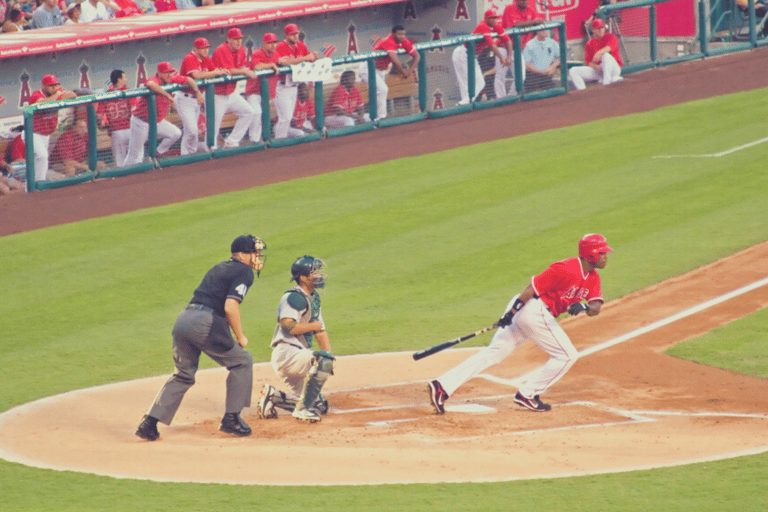 Los Angeles: LA Angels Baseball Game Ticket at Angel Stadium Regular Seating