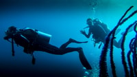 Marmaris, Scuba Diving Experience mit 2 Tauchgängen und Mittagessen - Hizvo