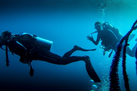 Marmaris : Expérience de plongée sous-marine (2 plongées avec déjeuner)Plongée sous-marine - Walkdown