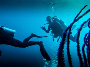 Marmaris: Scuba Diving Experience with 2 Dives and Lunch