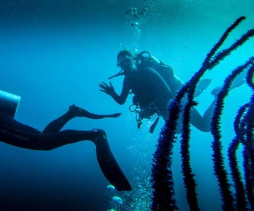 Marmaris: Scuba Diving Experience with 2 Dives and Lunch