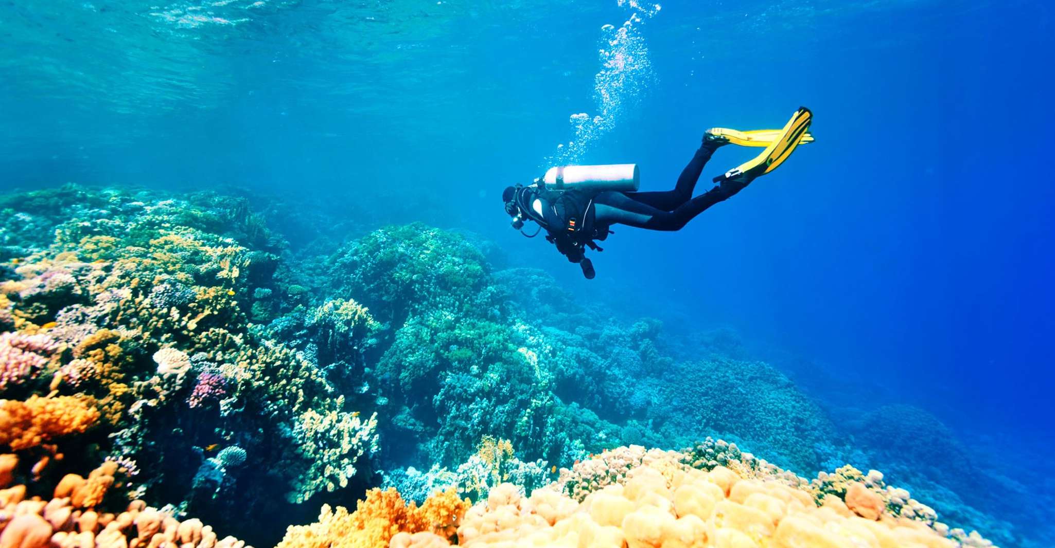 Marmaris, Scuba Diving Experience mit 2 Tauchgängen und Mittagessen - Hizvo