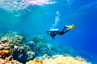 Marmaris, Scuba Diving Experience mit 2 Tauchgängen und Mittagessen - Hizvo