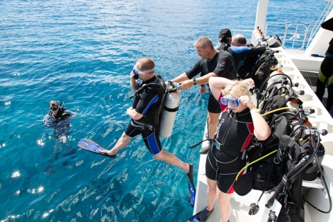 Marmaris: Scuba Diving Experience (2 Tauchgänge mit Mittagessen)Scuba Diving - Walkdown