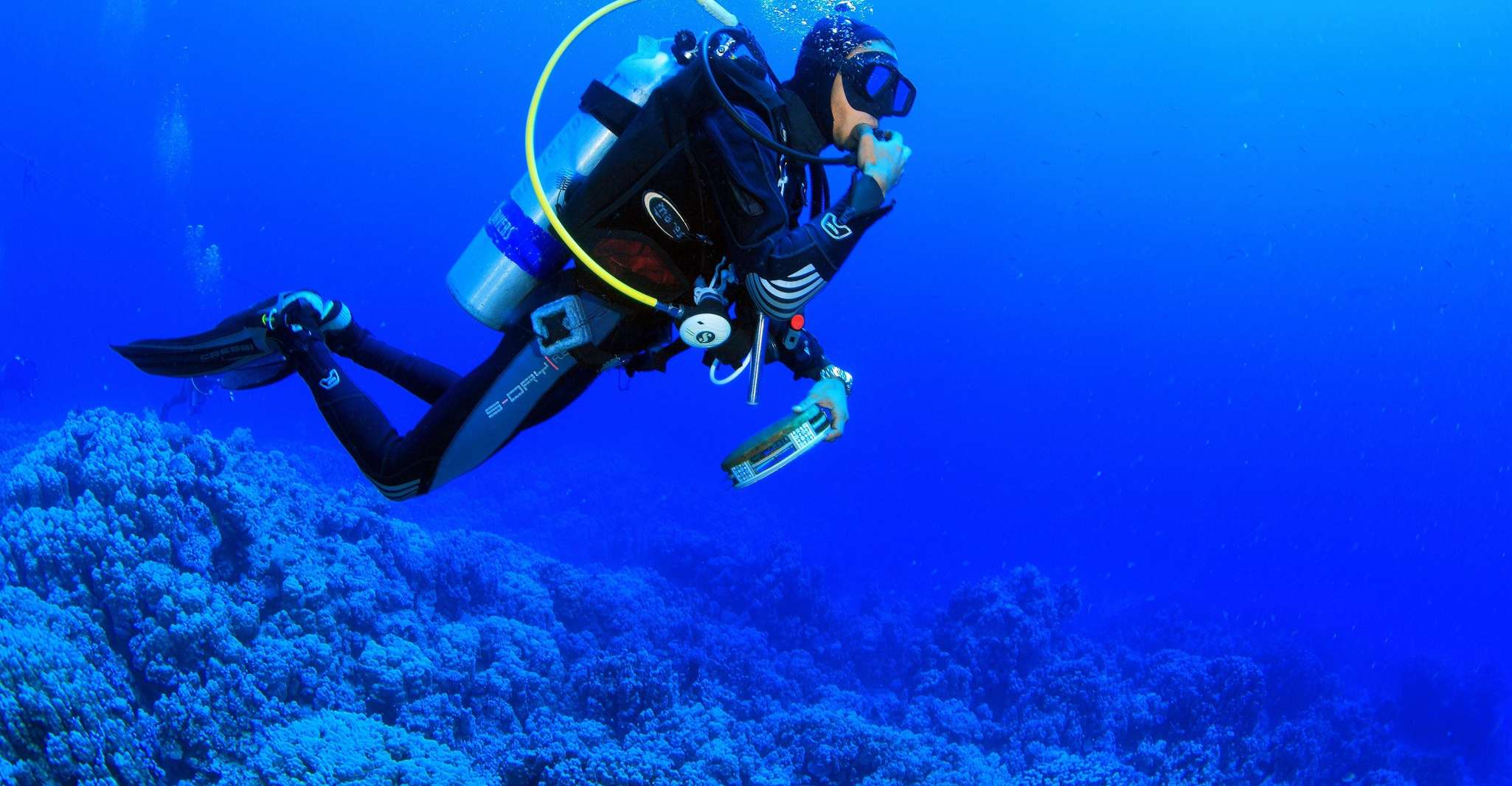 Marmaris, Scuba Diving Experience mit 2 Tauchgängen und Mittagessen - Hizvo