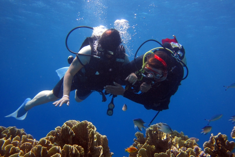 Marmaris : Expérience de plongée sous-marine (2 plongées avec déjeuner)Expérience de plongée sous-marine à Marmaris (2 plongées avec déjeuner)