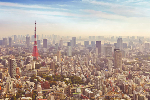 Excursión privada de un día a TokioAlquiler de coches privados en Tokio 10 horas