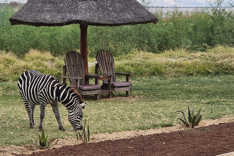 Au départ d'Arusha : 6 jours de safari privé dans la vallée orientale du Grand Rift.