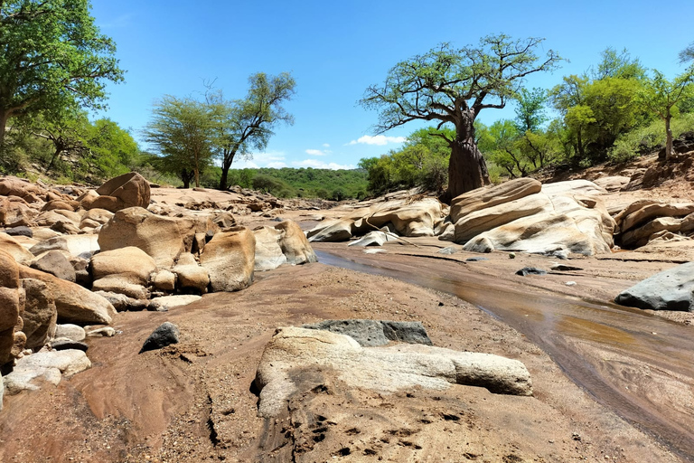 Från Arusha: 6 dagars privat safari i östra Great Rift Valley