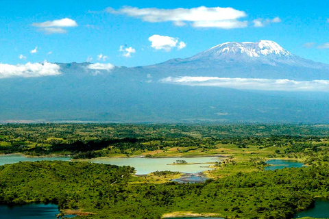 De Arusha: Safari Clássico de 7 Dias no Circuito Norte Central