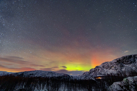 From Narvik: The Northern Lights Arctic Train Guided Tour