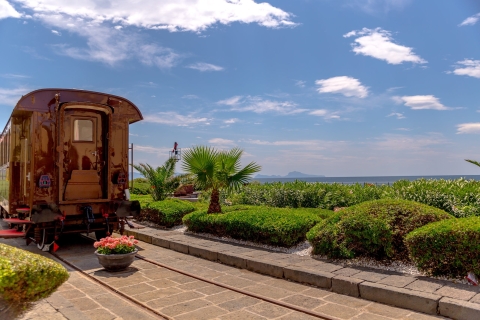 Museo del Ferrocarril de Pietrarsa: visita guiada y traslado en trenMuseo Nacional del Ferrocarril de Pietrarsa desde Nápoles
