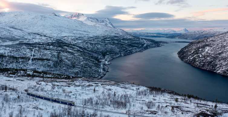 The BEST Narvik Winter activities 2024 - FREE Cancellation