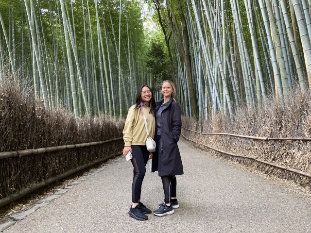 Visit Kyoto Arashiyama Bamboo Forest Morning Tour by Bike in Kyoto